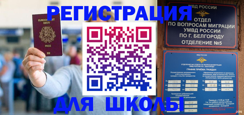 регистрация в Кингисеппе